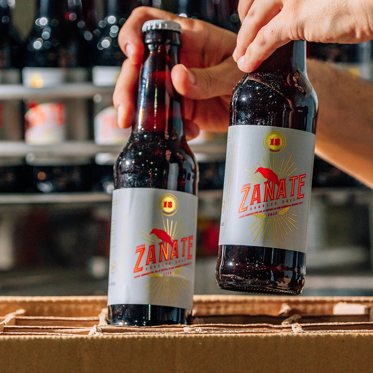 Cervezas de Temporada - Cervecería de Colima