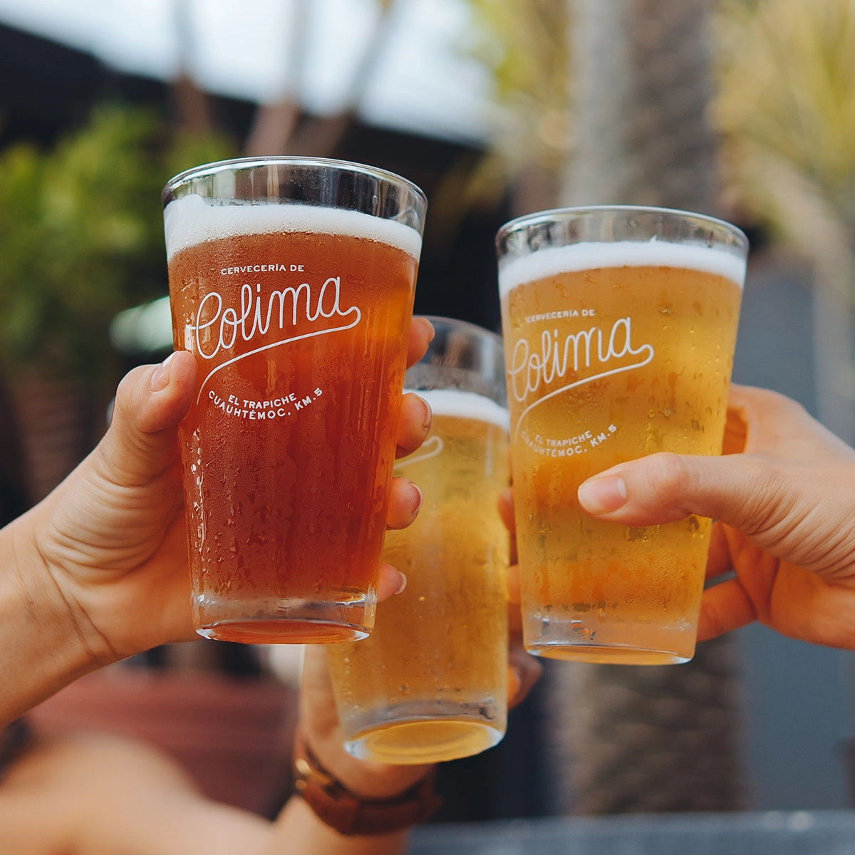 Vasos, Tazas y Tarros - Cervecería de Colima