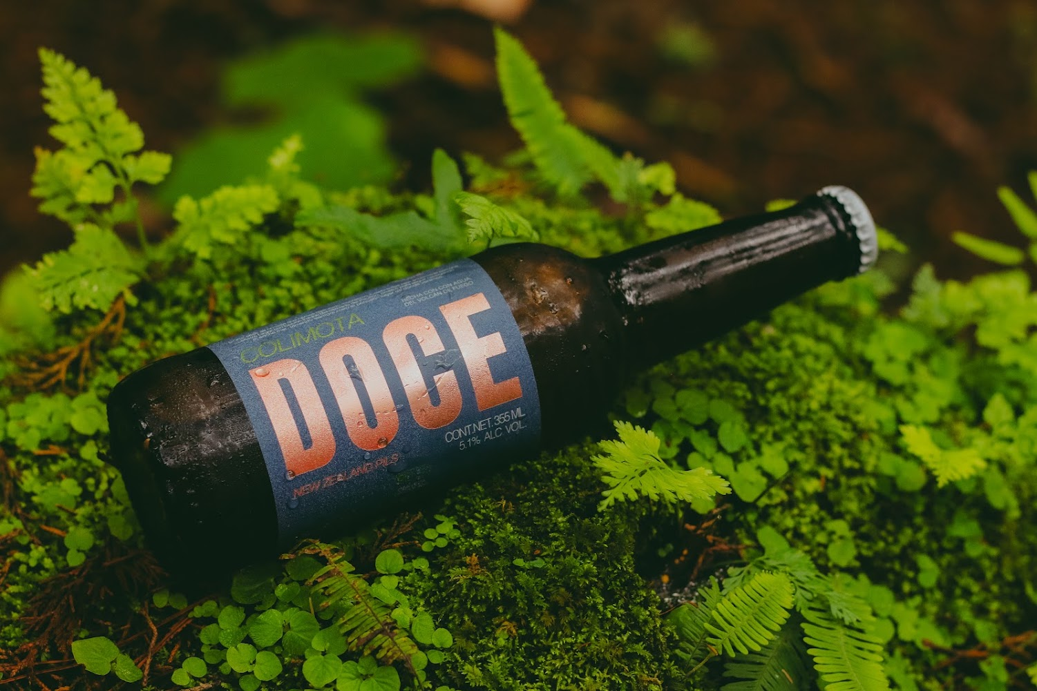 12 años de Cervecería de Colima: celebrando con Colimota Doce