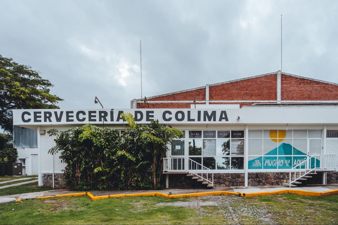 Colimita: la cerveza que inició todo