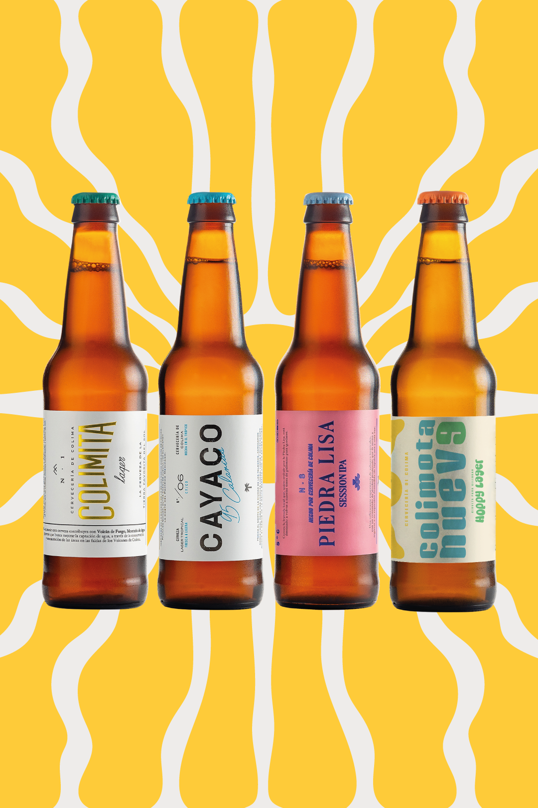 12 PACK CERVEZAS ANIVERSARIO BOTELLA 355 ML