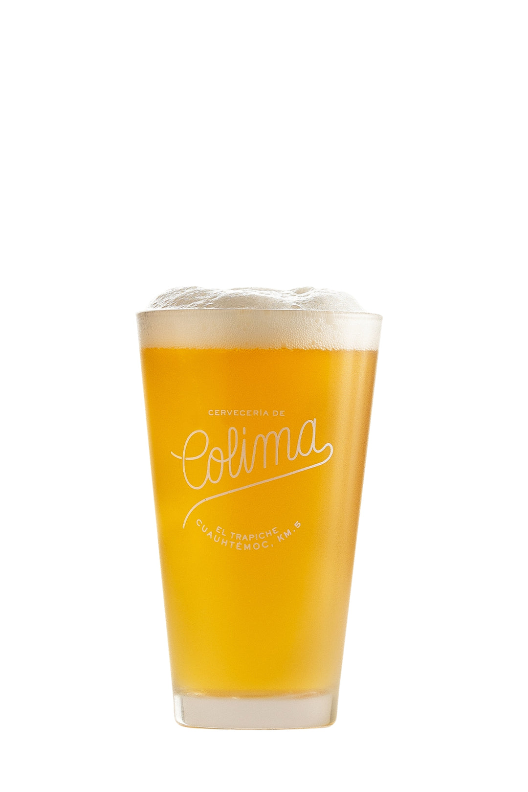 24 PACK CERVEZA ESTO TENÍA QUE SER CAYACO LATA 355 ML