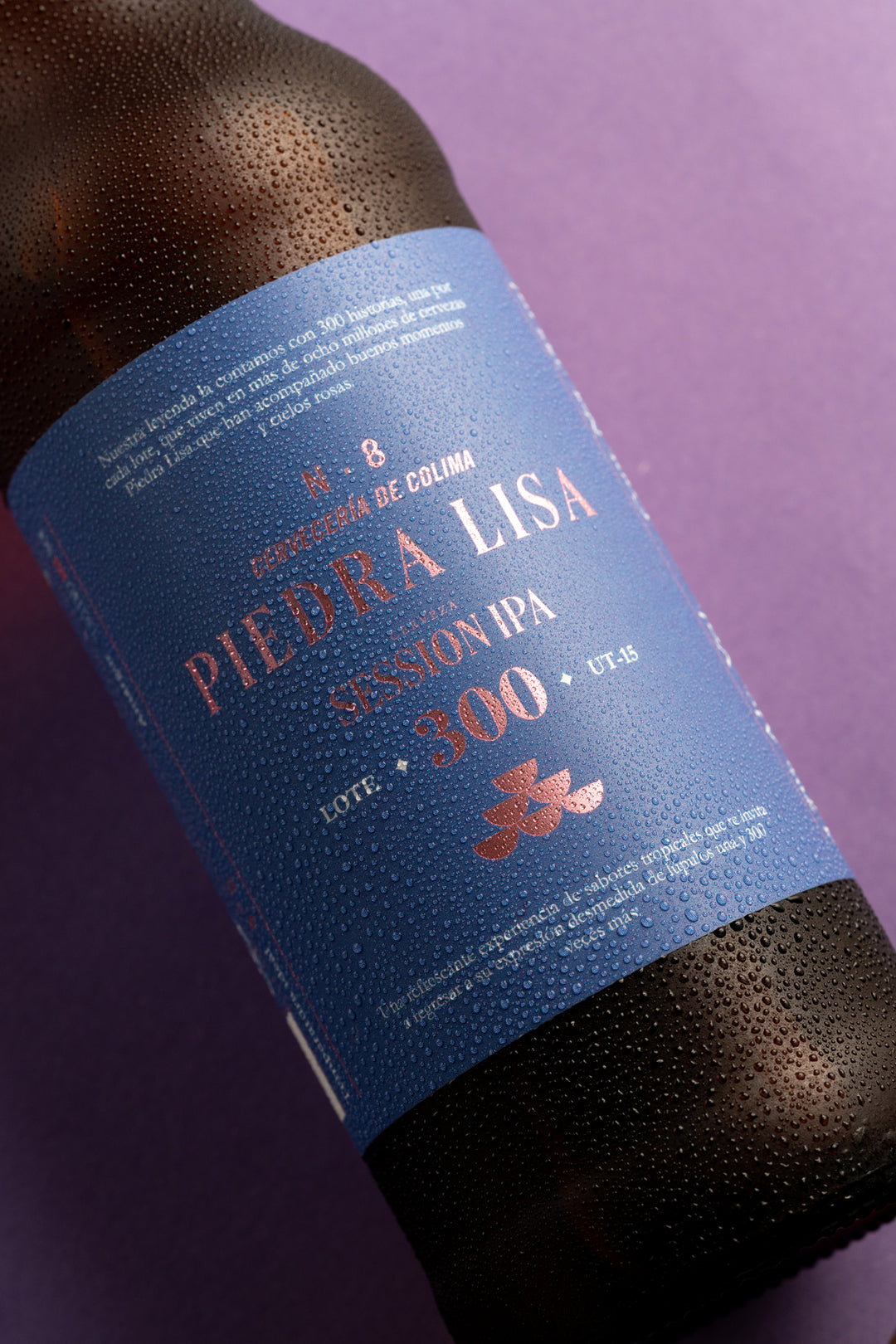 24 PACK CERVEZA PIEDRA LISA 300 BOTELLA 355 ML