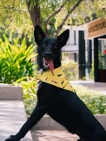 BANDANA DOBLE ESTAMPADA - Cervecería de Colima