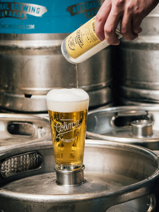 24 PACK CERVEZA ESTO TENÍA QUE SER CAYACO LATA 355 ML