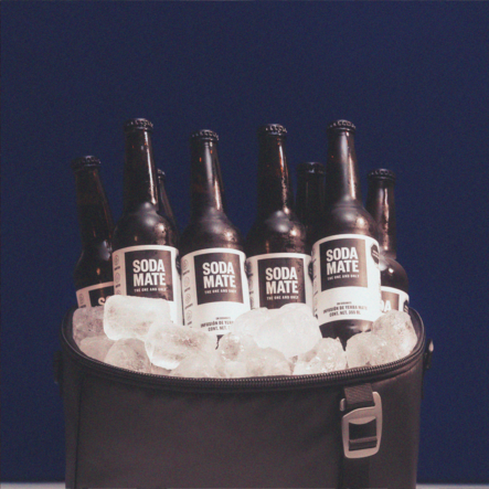 24 PACK SODA MATE BOTELLA 355 ML