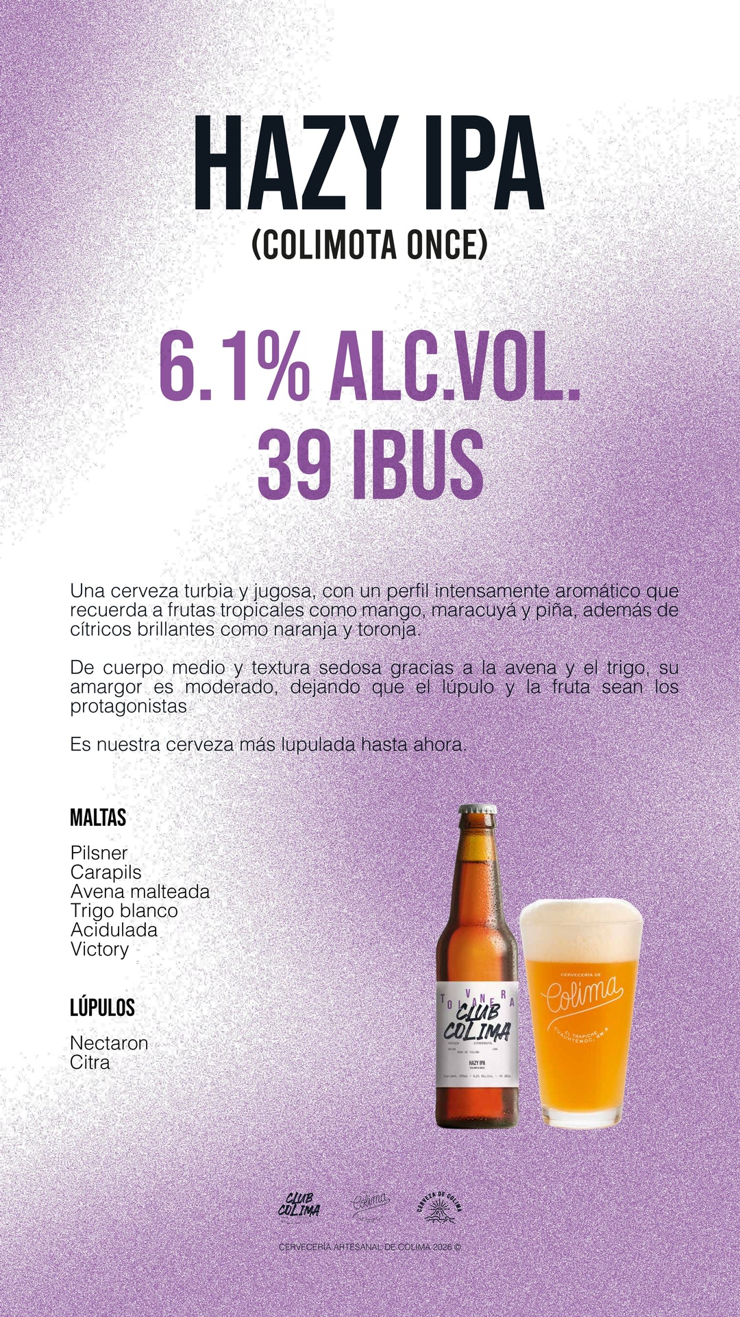 12 PACK CERVEZA TOLVANERA HAZY IPA BOTELLA 355 ML