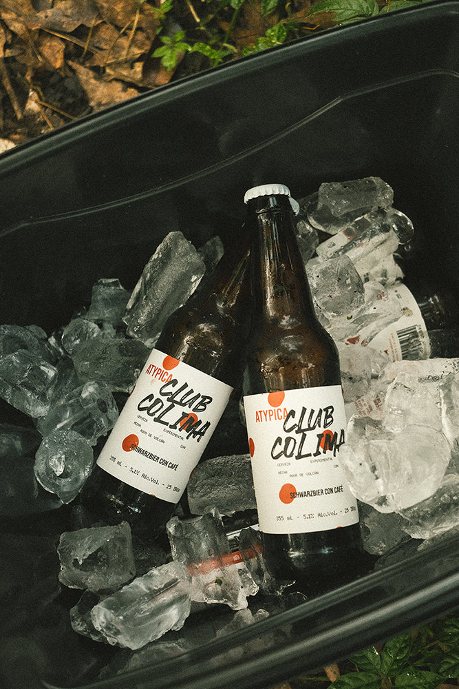 12 PACK CERVEZA ATYPICA SCHWARZBIER BOTELLA 355 ML