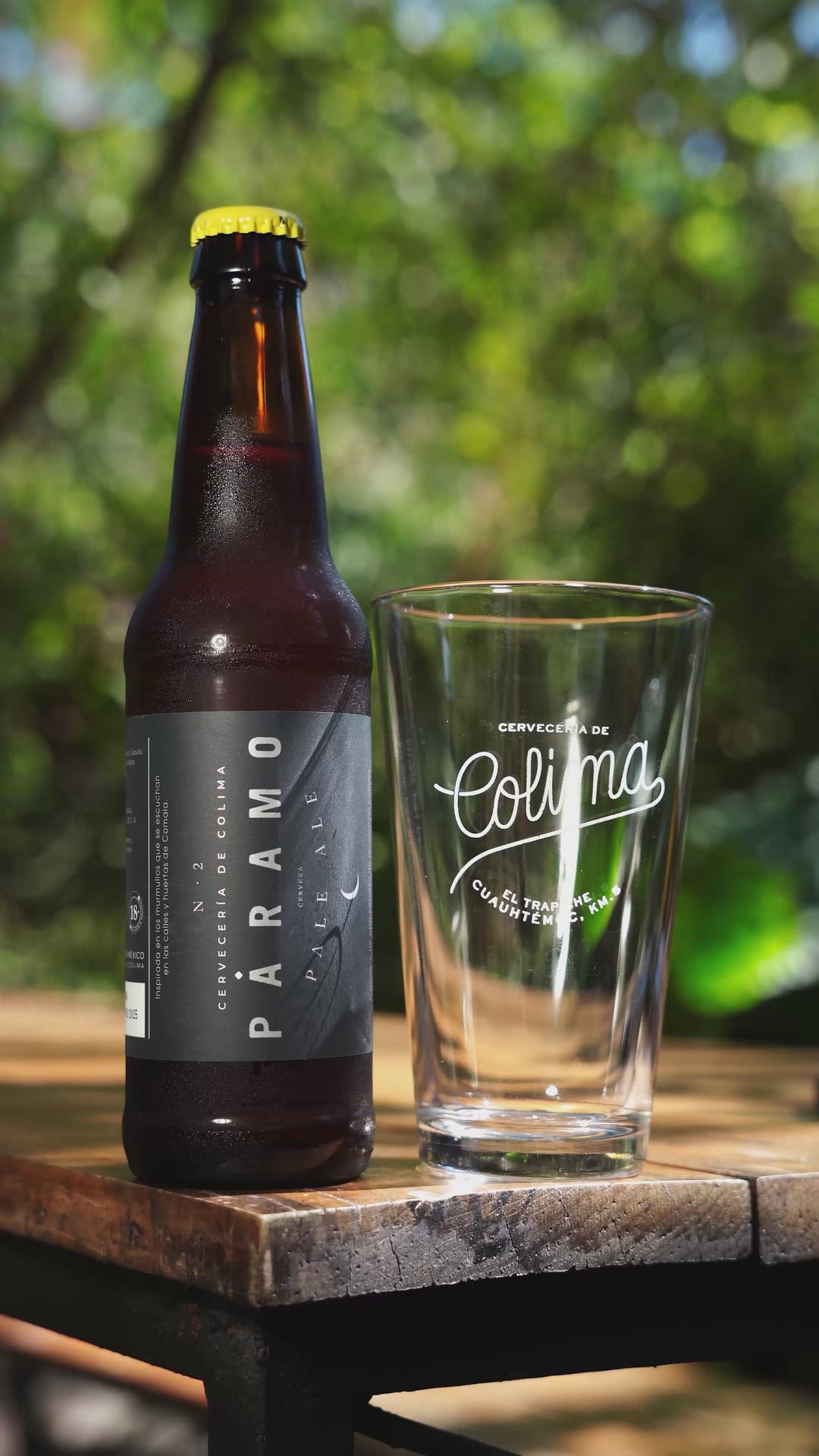 12 PACK CERVEZA PÁRAMO PALE ALE BOTELLA 355 ML